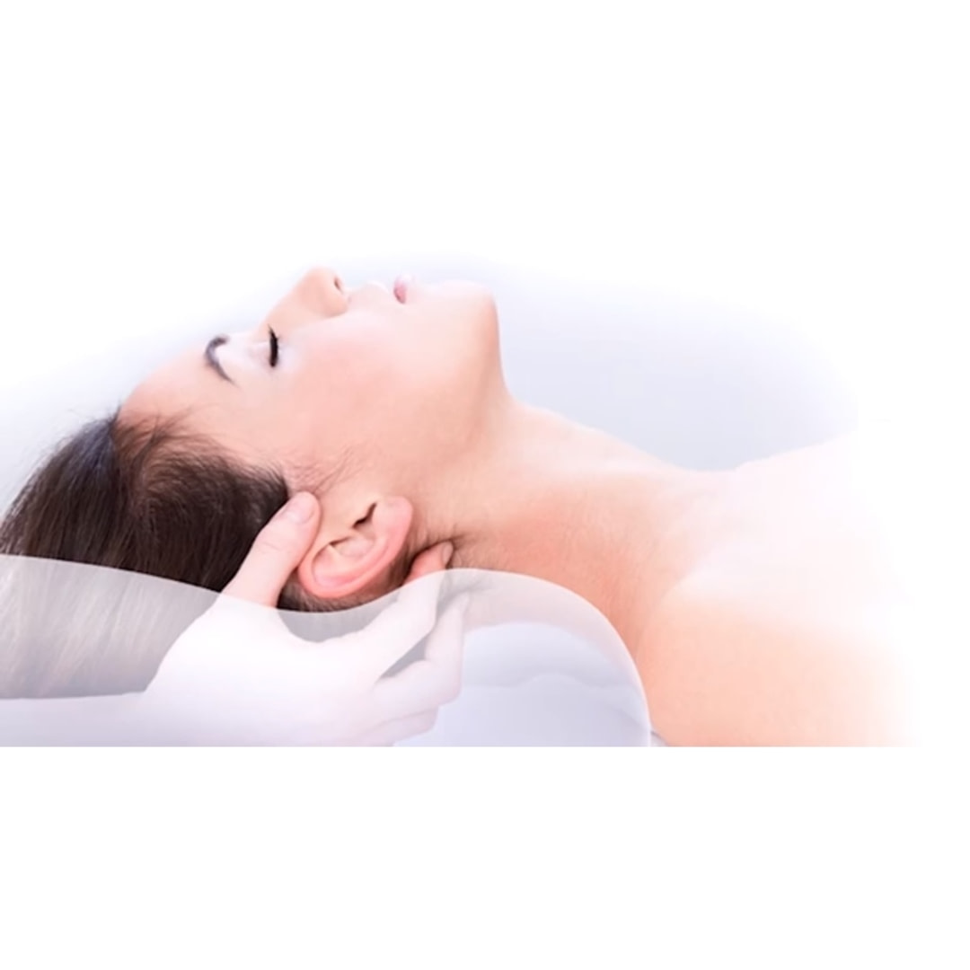 21412608 | thebeddingscompany